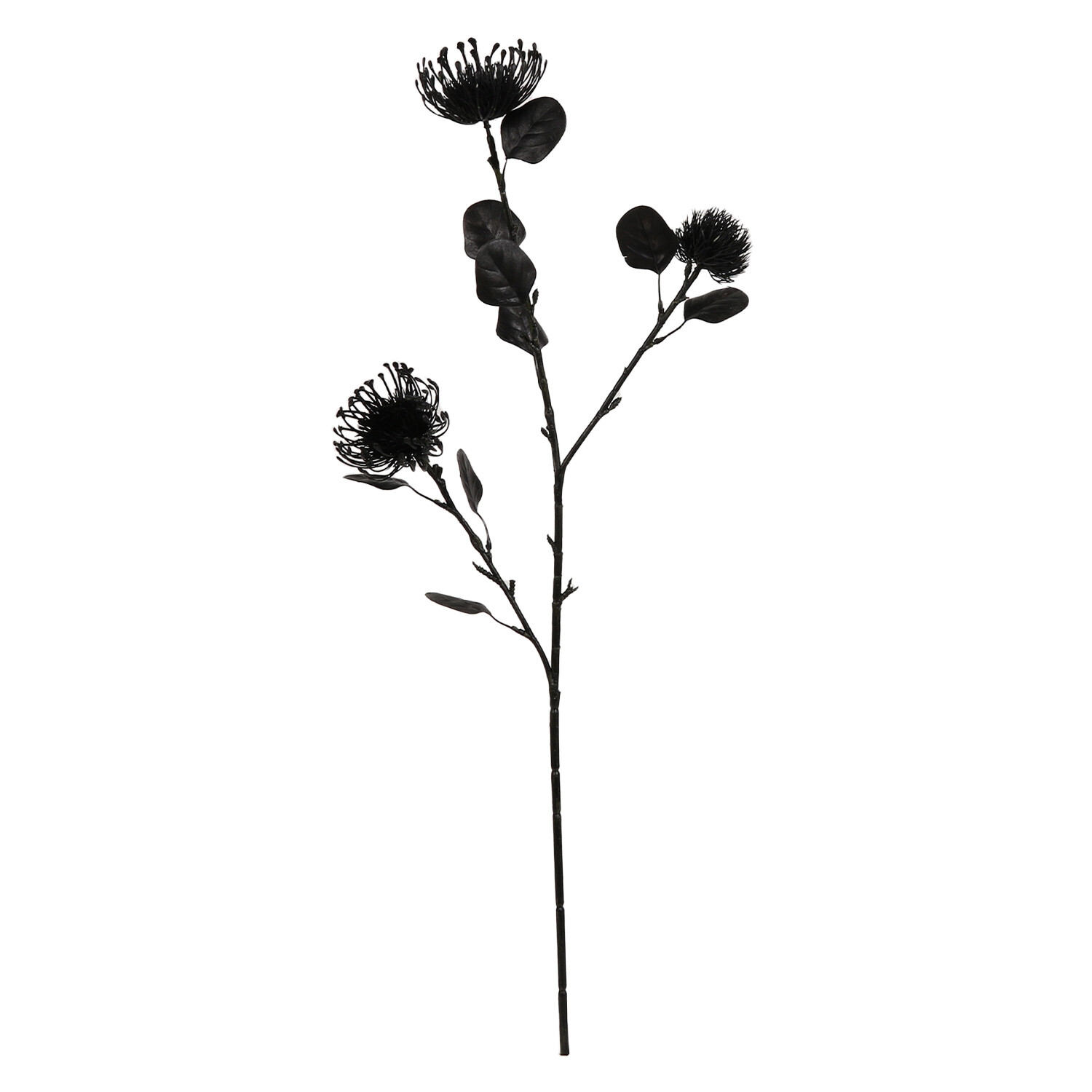 Midnight Thistle Stem Black Image