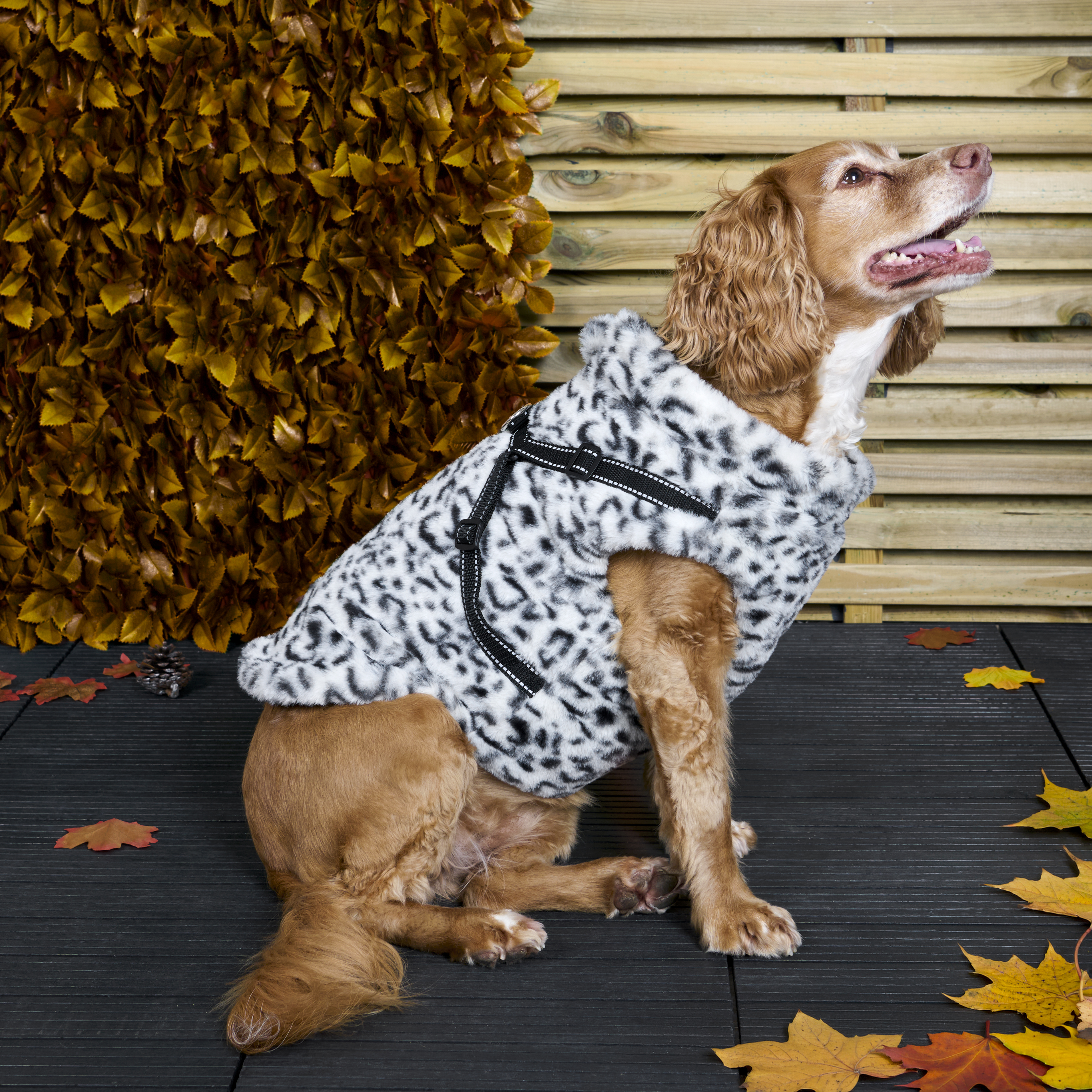 Fluffy Harness Dog Coat XS Image 7