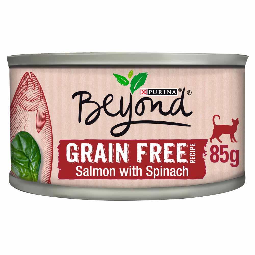 Beyond Grain Free Cat Food Salmon in Mousse 85g Image 1