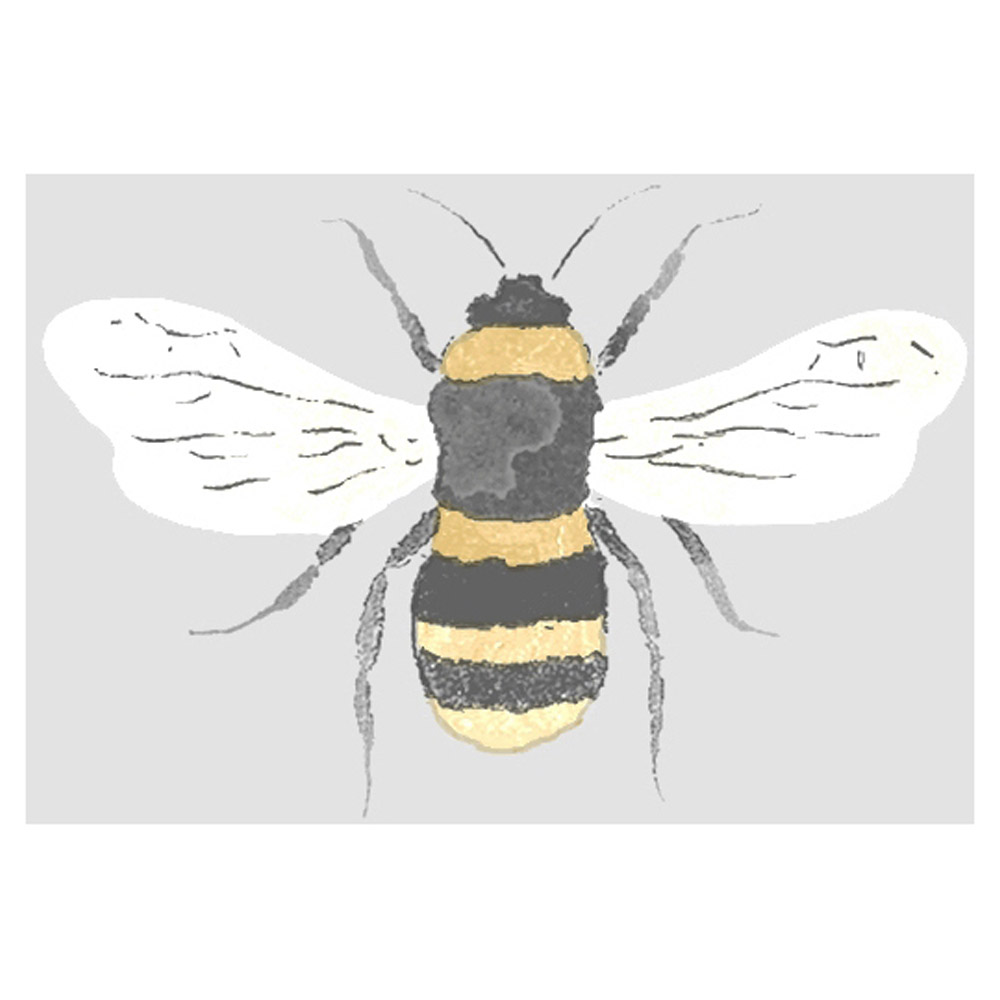 Sophie Allport Bees Grey Wallpaper Image 5