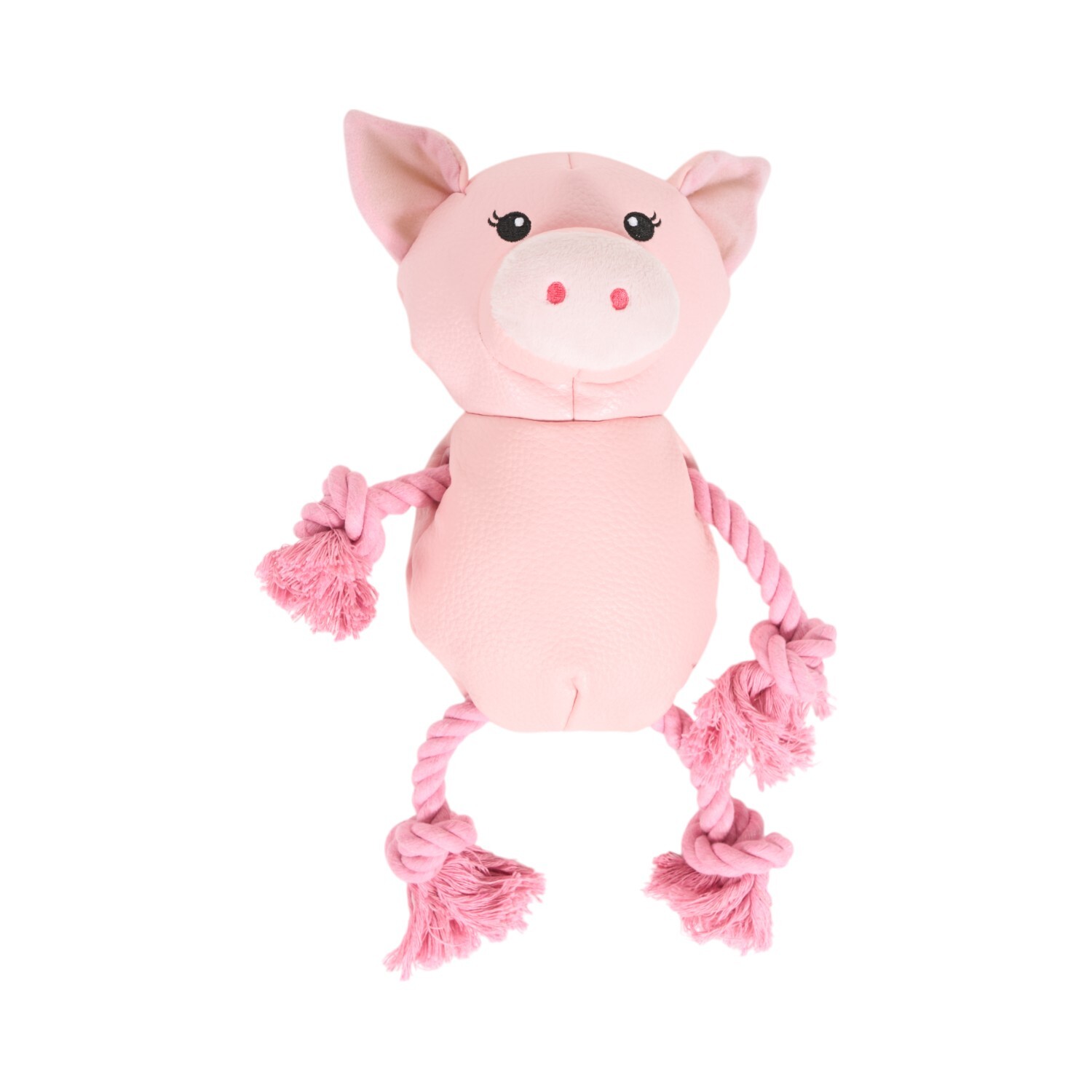 Tough Smoothiez Dog Toy Image 2