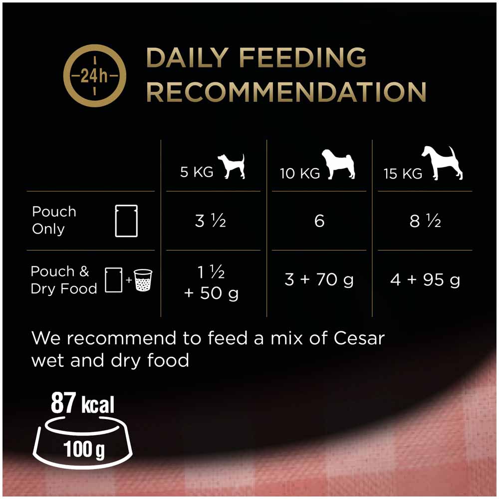 Cesar Fresh Selection in Sauce Dog Food 4 x 100g Image 5