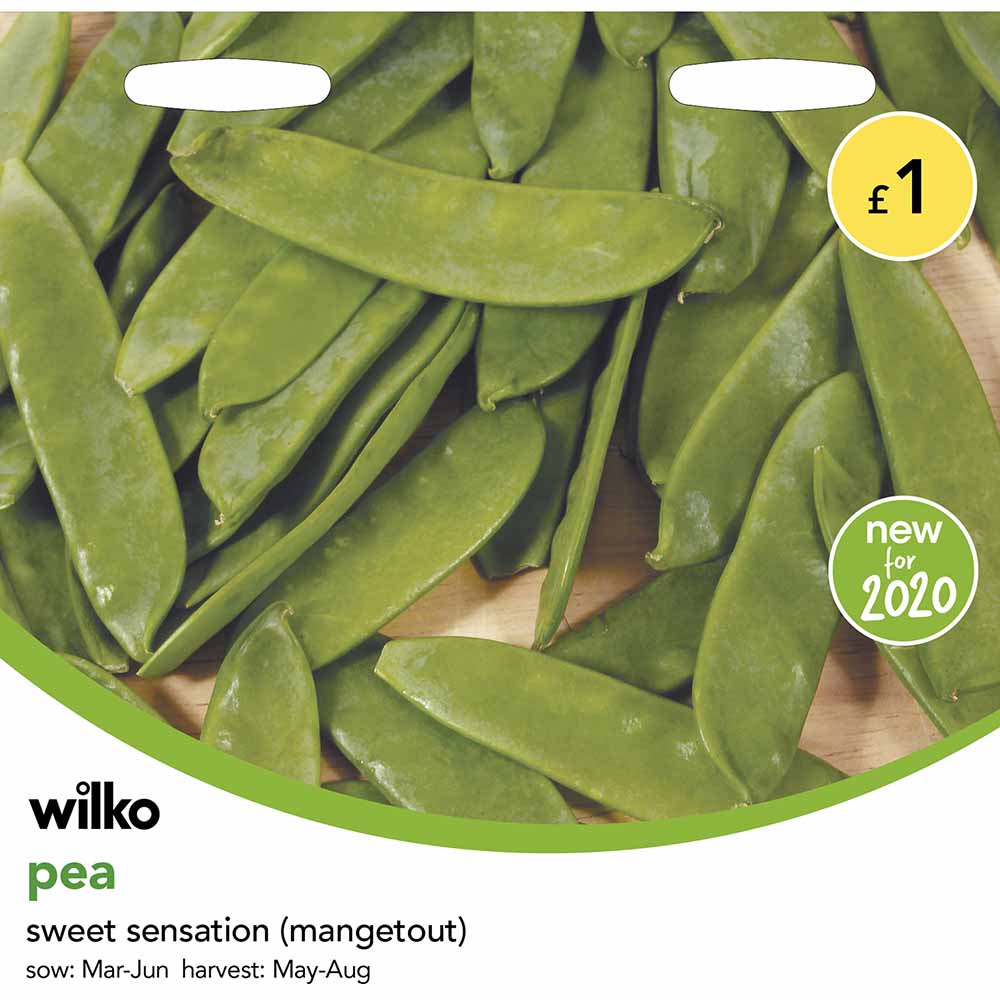 Wilko Pea Mangetout Sweet Sensation Seeds Image 1