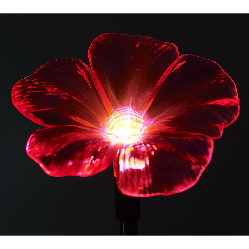 Wilko Solar Light Flower Image 5