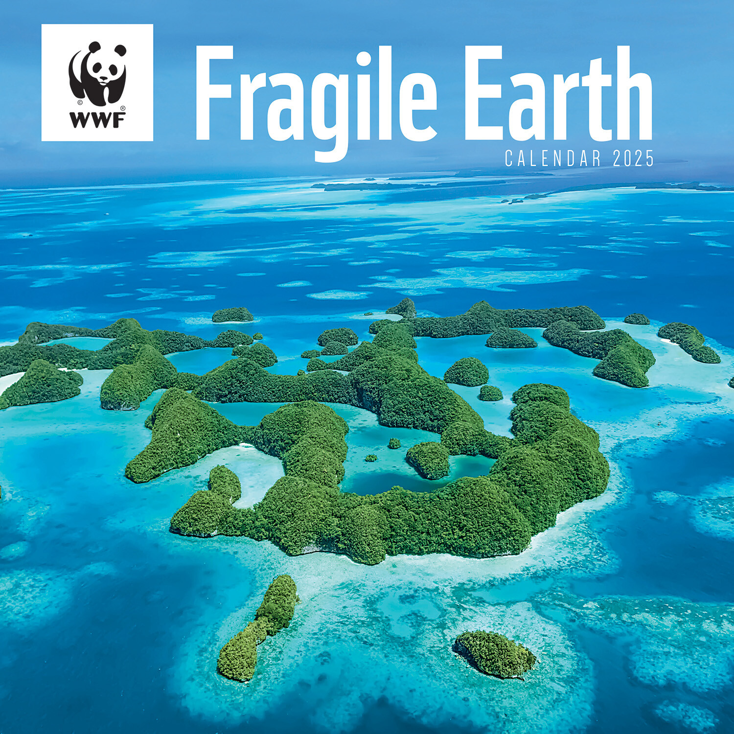 2025 WWF Fragile Earth Wall Calendar Image