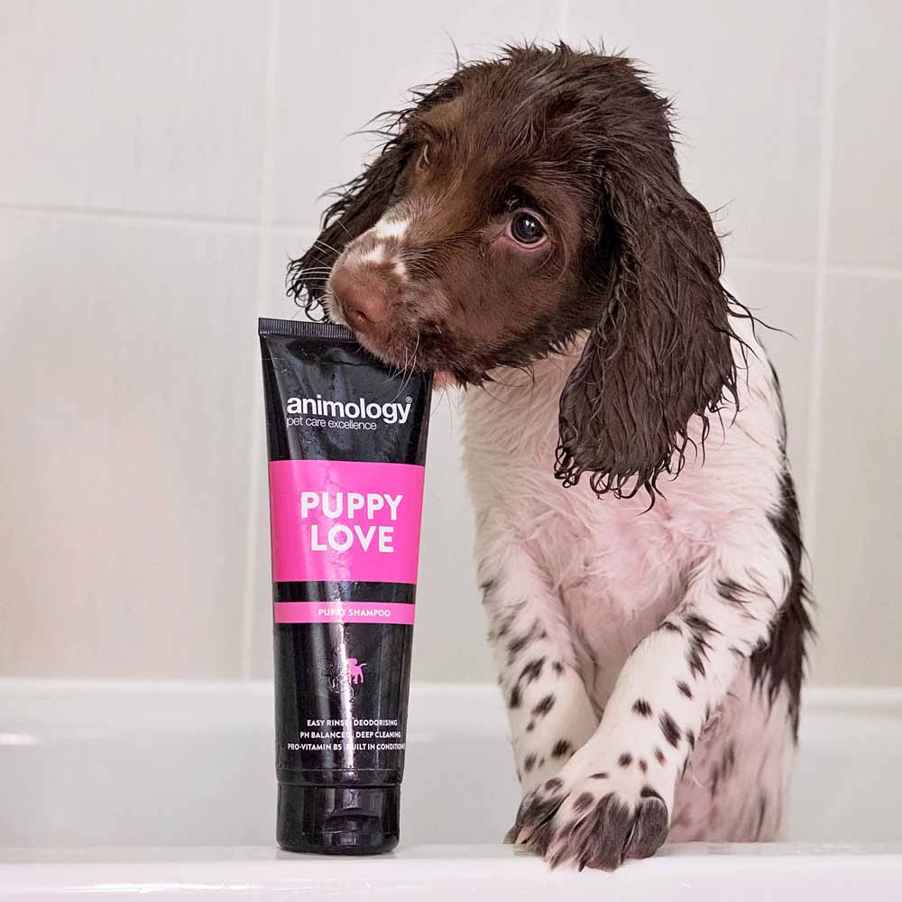 Animology Puppy Love Dog Shampoo 250ml Image 3