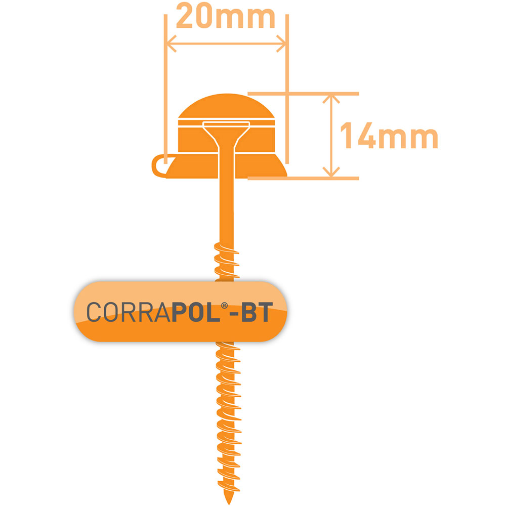 Corrapol BT Green 60mm Fixing Screws and Caps 10 Pack Image 3
