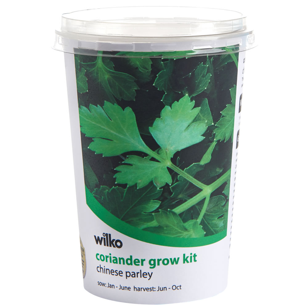 Wilko Coriander Herb Pot Wilko