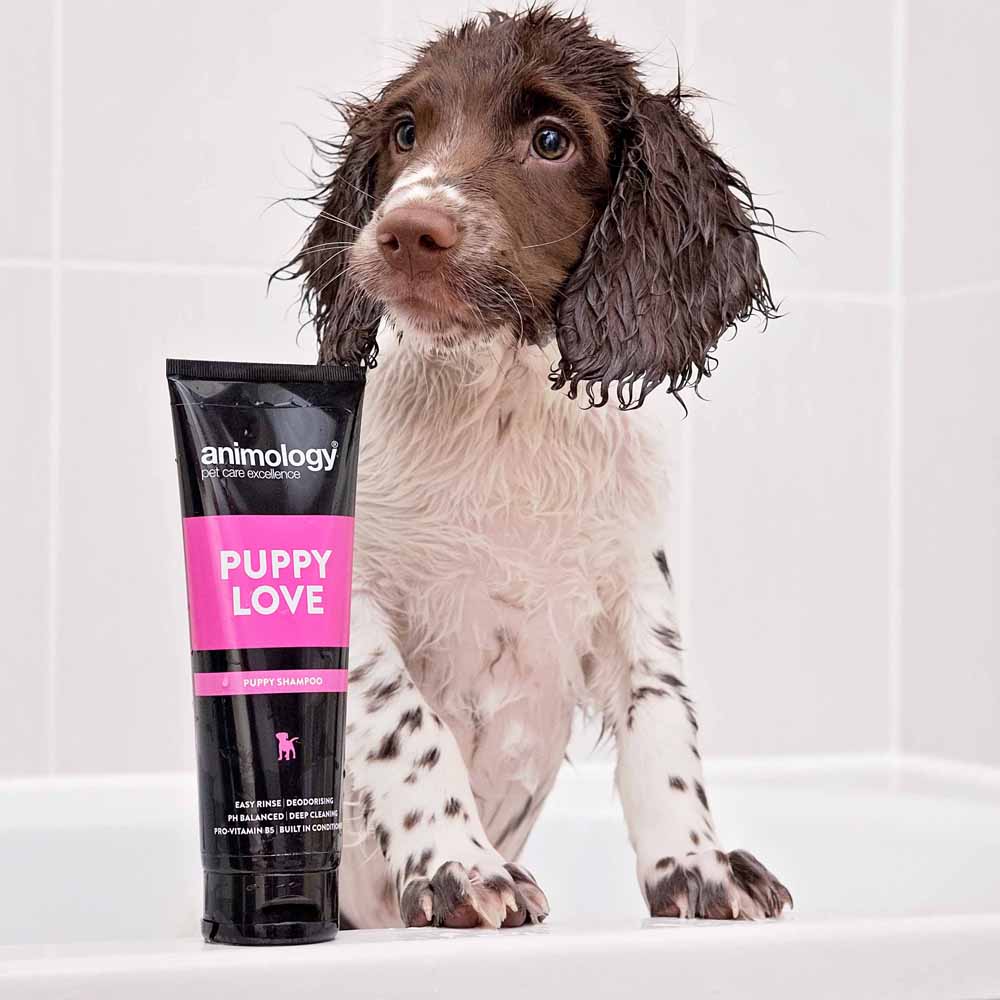 Animology Puppy Love Dog Shampoo Case of 6 x 250ml Image 3