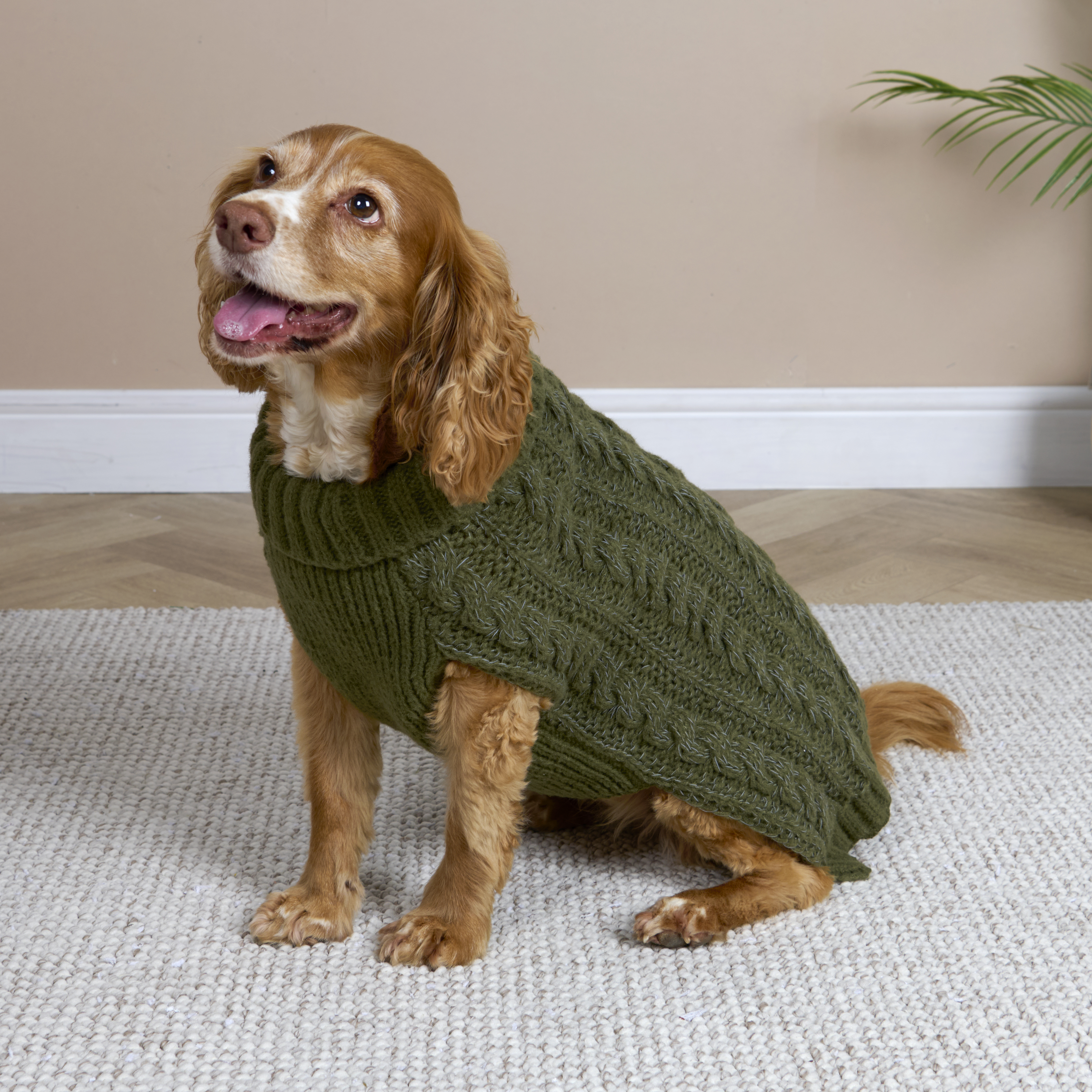 Reflective Roll Neck Pet Jumper M Image 5