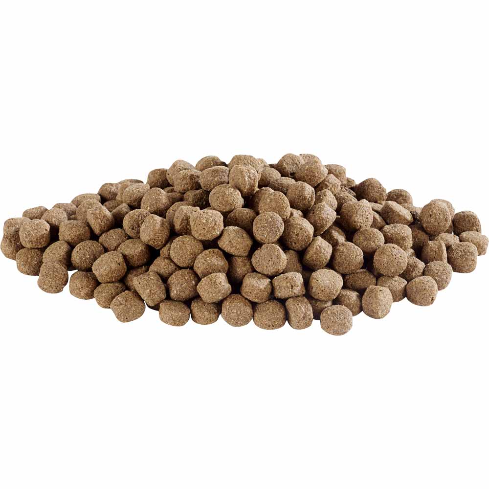 Harringtons Turkey and Veg Complete Dry Dog Food 2kg Wilko