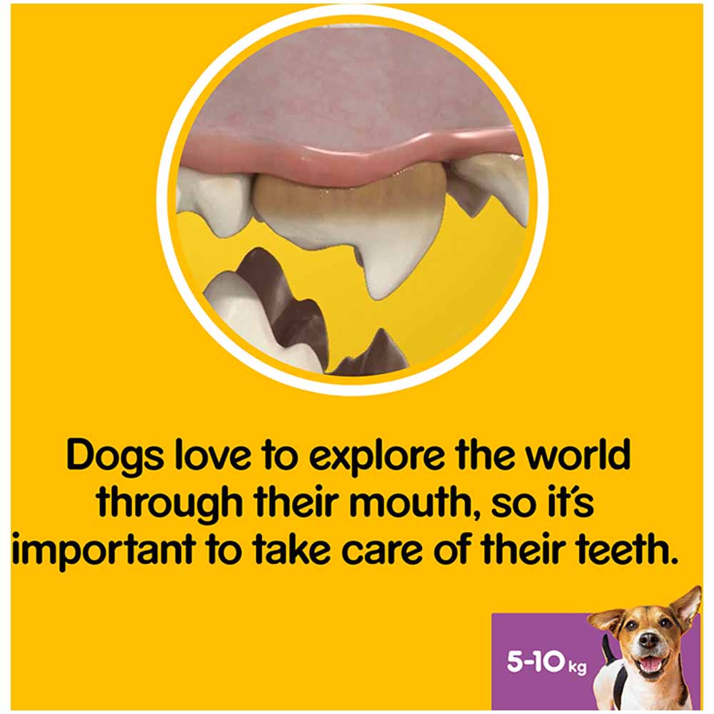 Pedigree 7 Pack Dentastix Daily Adult Small Dog Treats Dental Sticks 110g Image 6
