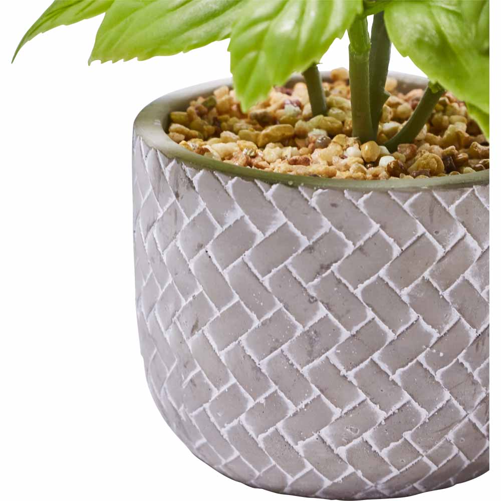 Wilko Faux Plant in Cement Pot Wilko