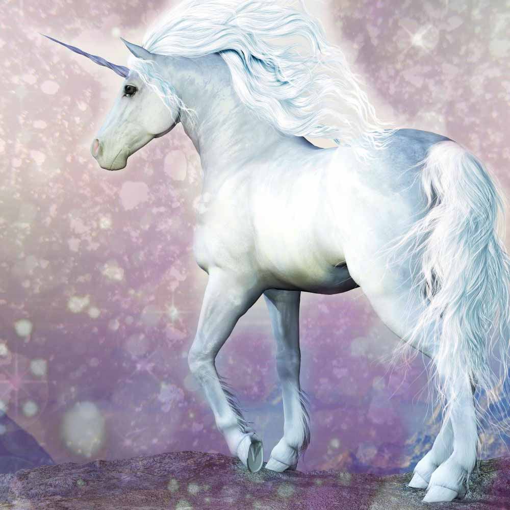 Art For The Home Magical Unicorn Wall Mural Image 2