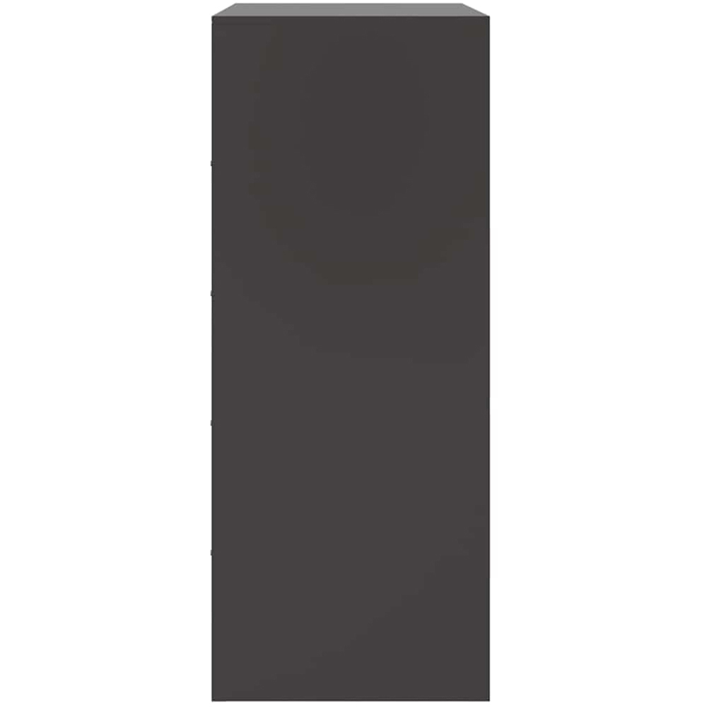 vidaXL 2 Door 2 Drawer Black Steel Highboard Image 8