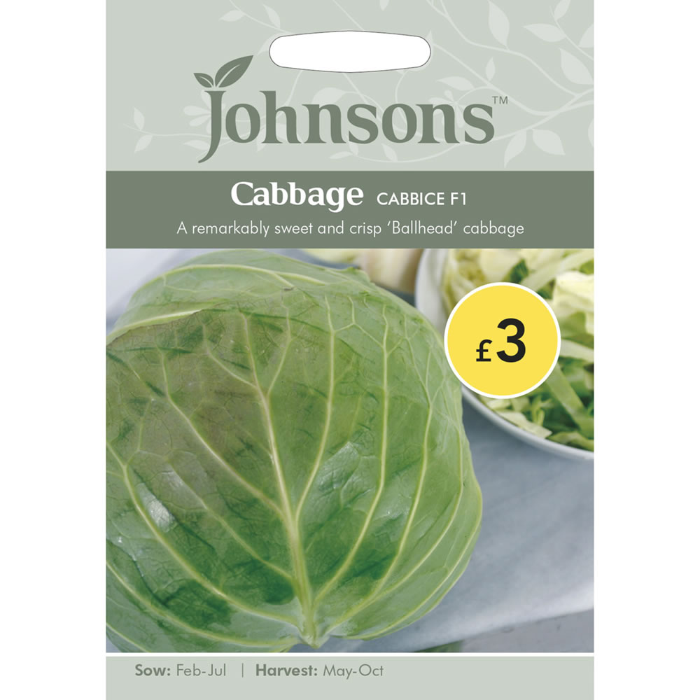 Johnsons Cabbage Cabbice Seeds Image 2