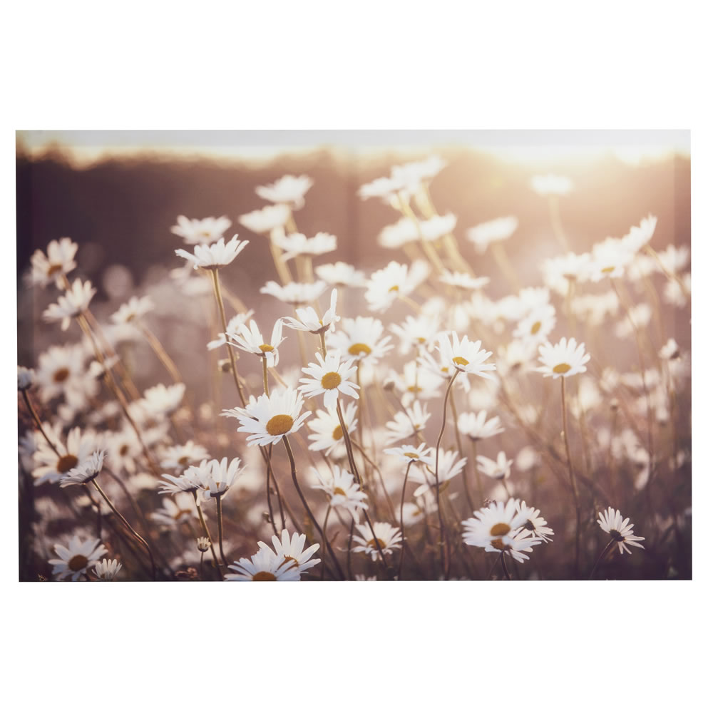 Wilko Meadow Flowers Canvas Image