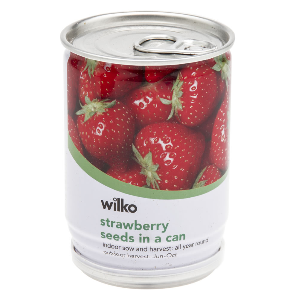 Wilko Strawbeery Seeds in a Can Image