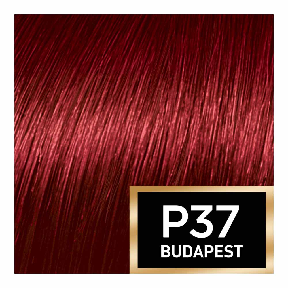 L’Oréal Paris Preference Infinia Dark Red Ultra Violet 3.66 Permanent Hair Dye Image 4