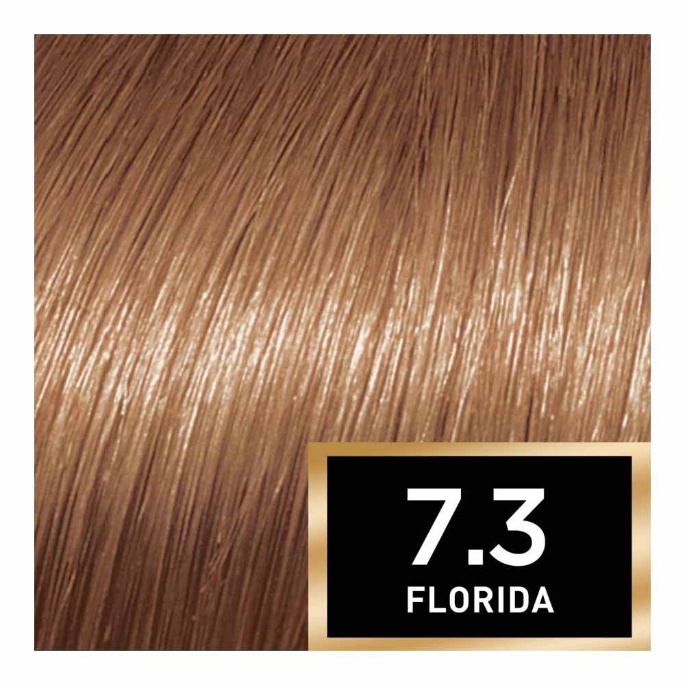 L'Oreal Paris Preference 7.3 Florida Golden Blonde Permanent Hair Dye Image 5