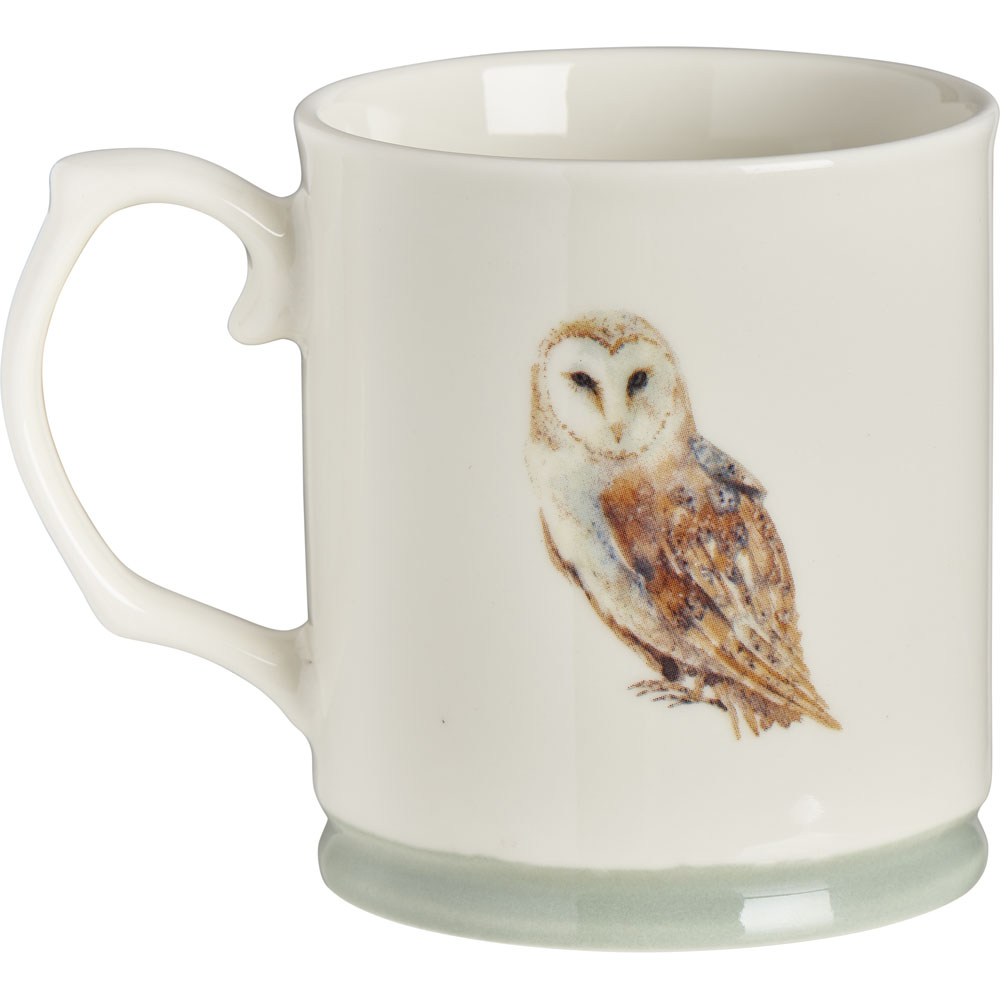 Wilko Watercolour Owl Mug Wilko