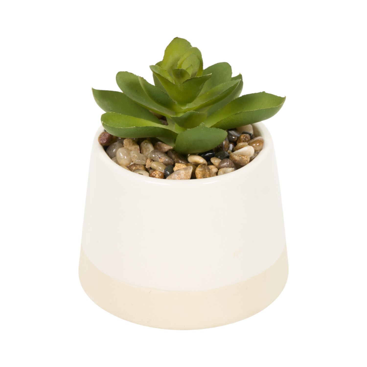 Mini Succulent Pot Image 6