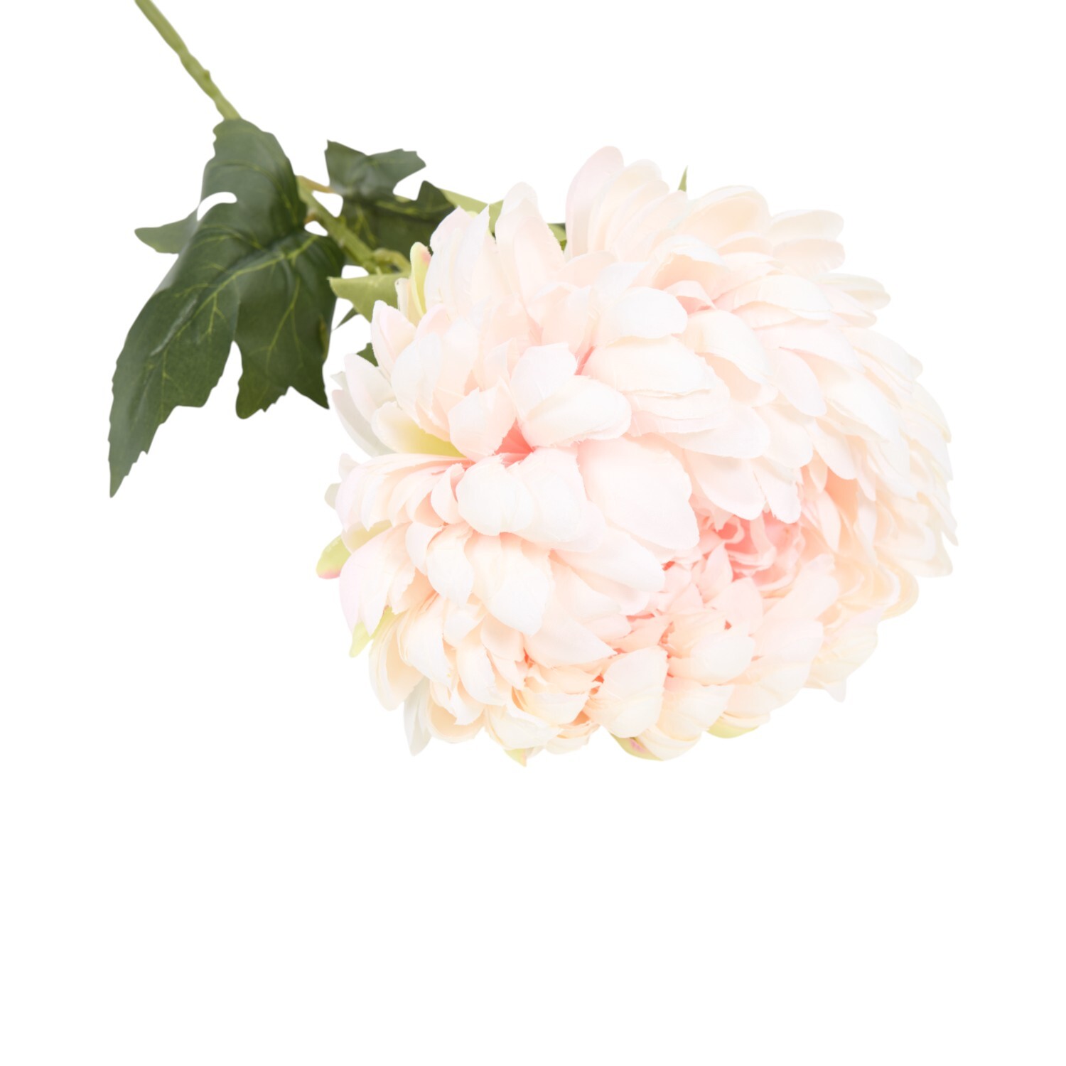 Large Fuji Mum Pom Stem 70cm Asrt Image 8