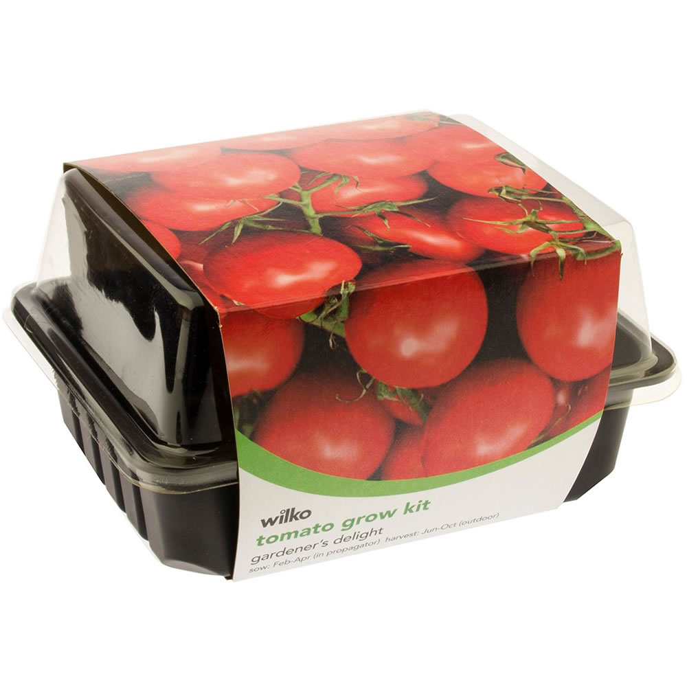 Wilko Tomato Gardeners Delight Grow Kit Image