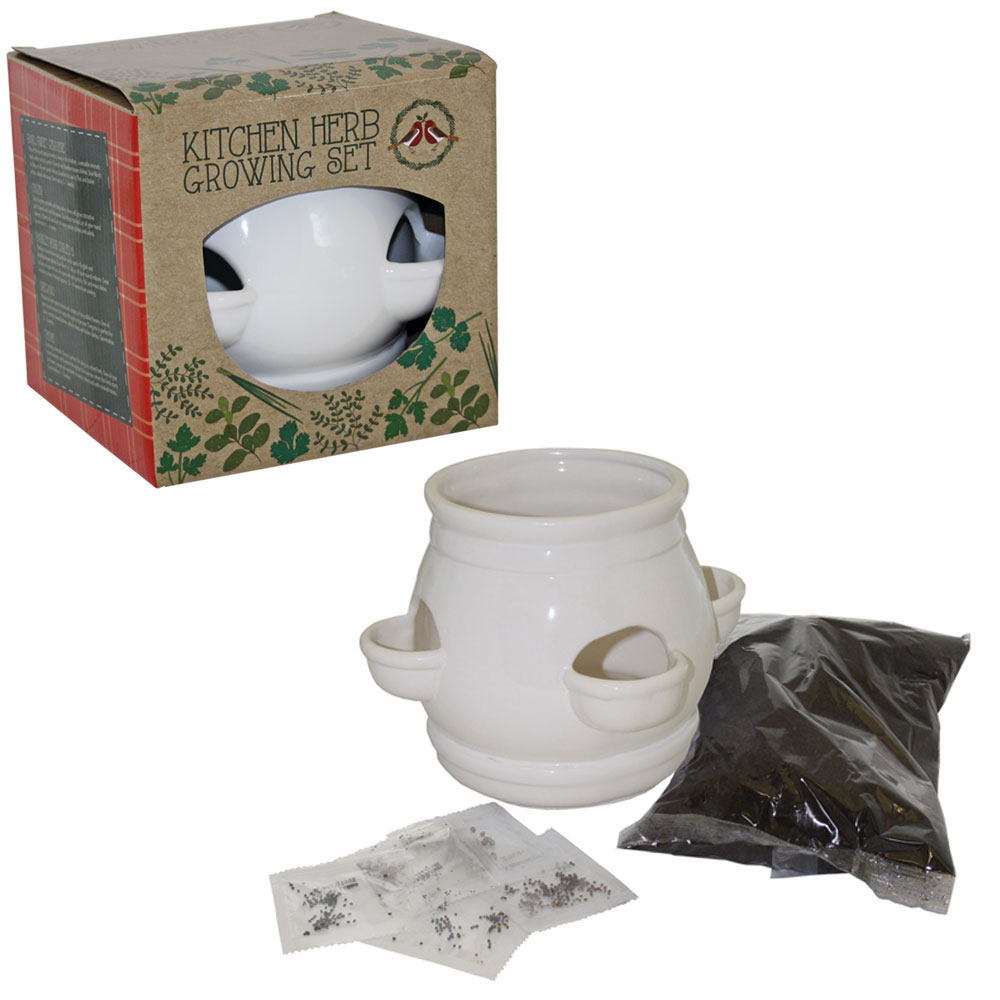 Wilko Kitchen Herb Pot Set Wilko