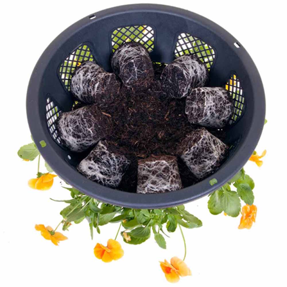 YouGarden Easy Fill Plastic Hanging Baskets 2 Pack Image 3
