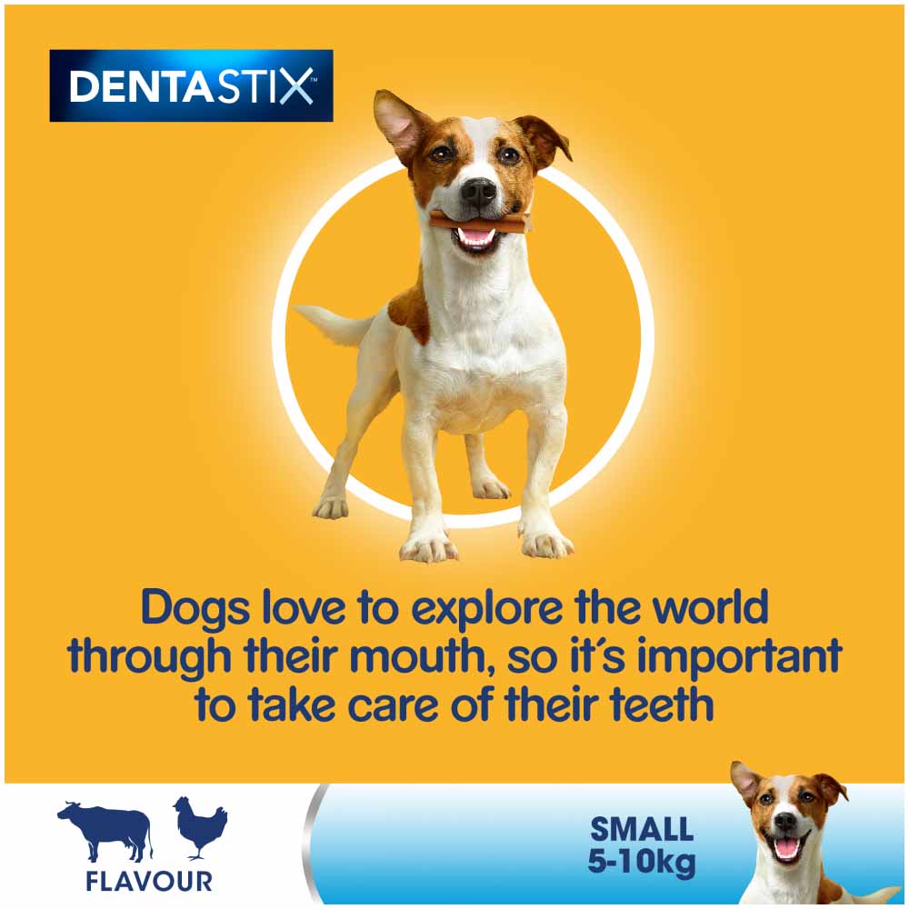 Pedigree 35 Pack Dentastix Daily Adult Small Dog Treats 550g Image 4