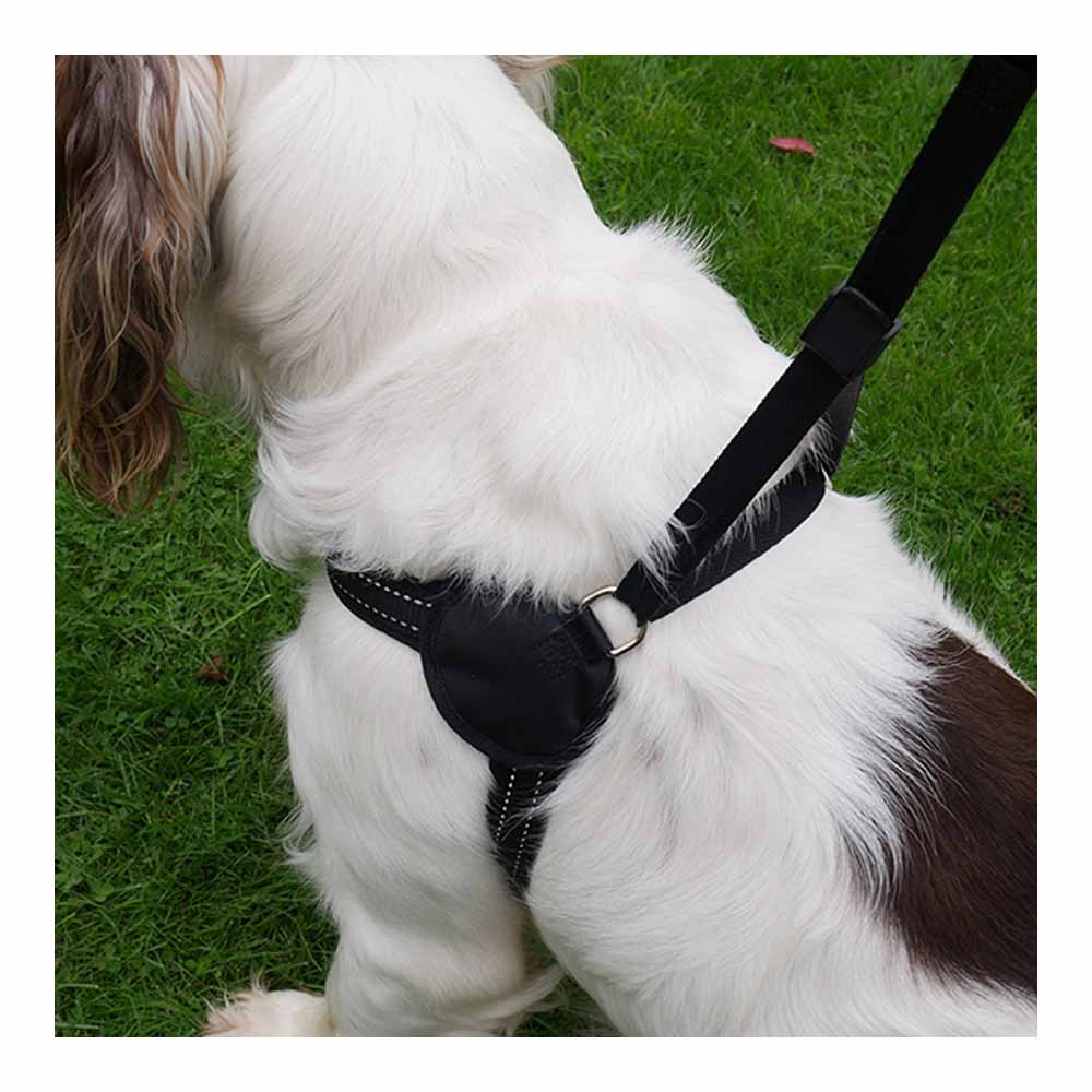 Rosewood Reflective Easy Fit Harness 12-16in Image 4
