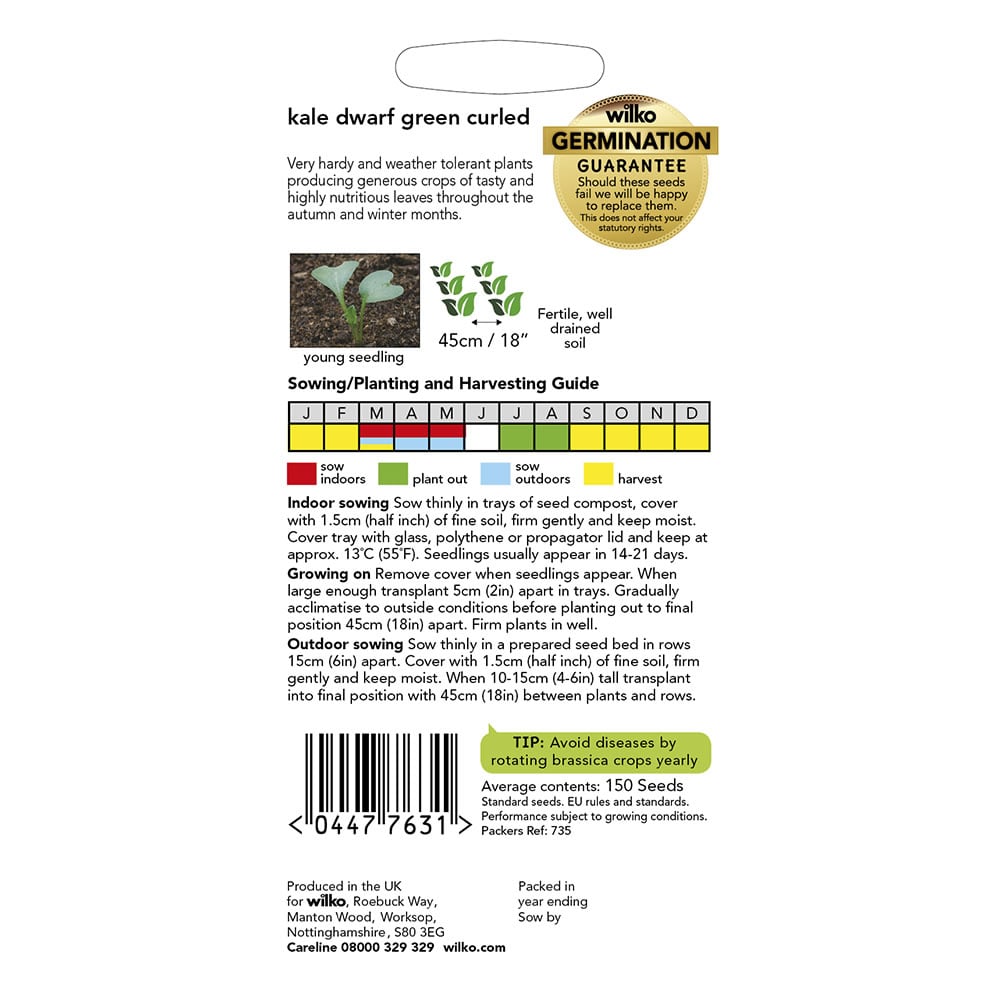 Wilko Kale Dwarf Green Curled Seeds Image 3