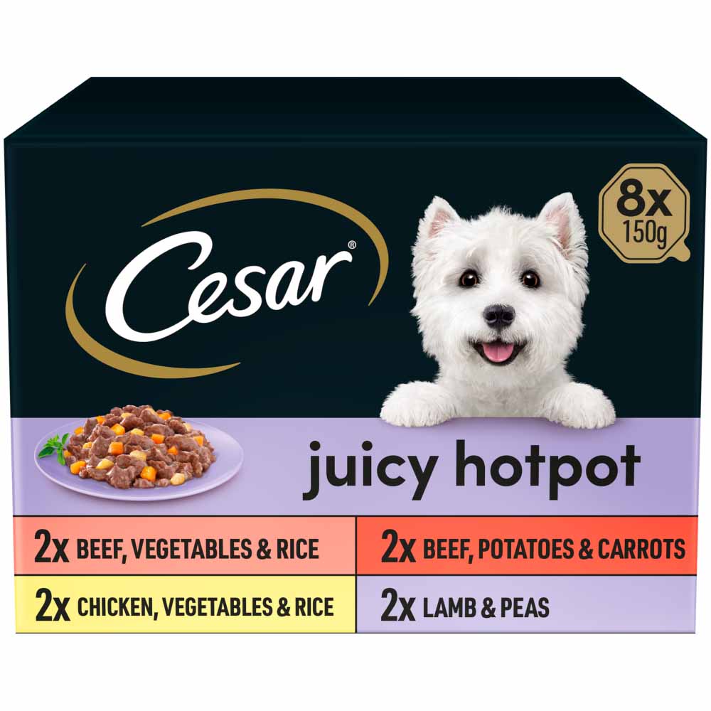 Cesar Juicy Hotpot Adult Wet Dog Food Trays Mixed in Gravy 8 x 150g Image 1