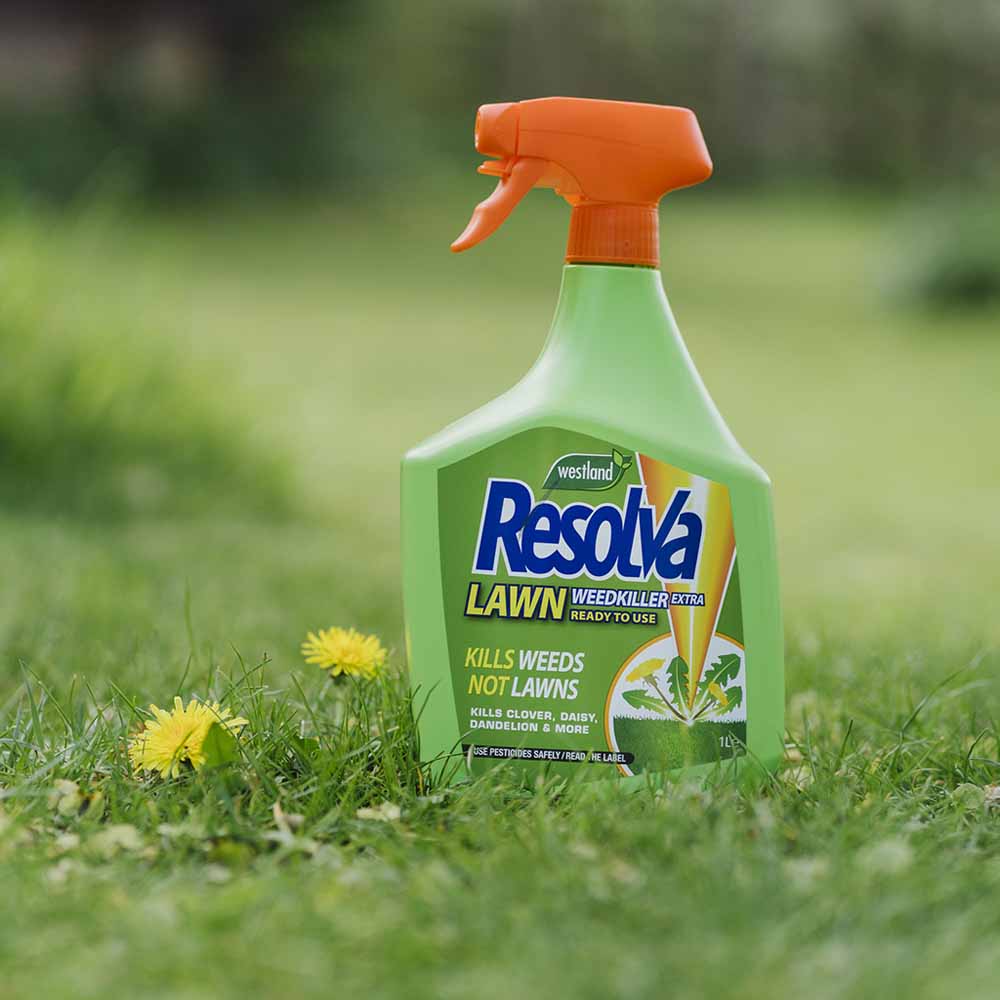 Westland Resolva Ready to Use Extra Lawn Weedkiller 1L Image 3