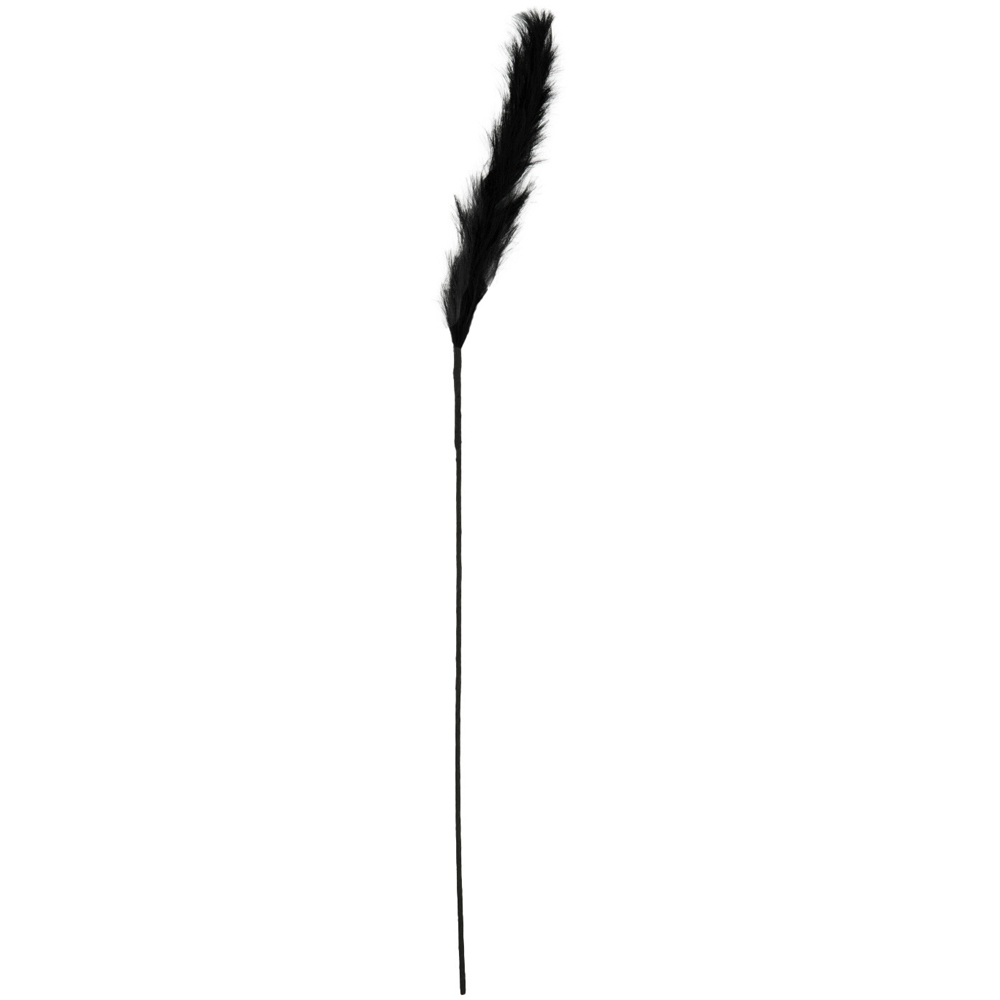 Black Pampas Single Stem Artificial Plant Image
