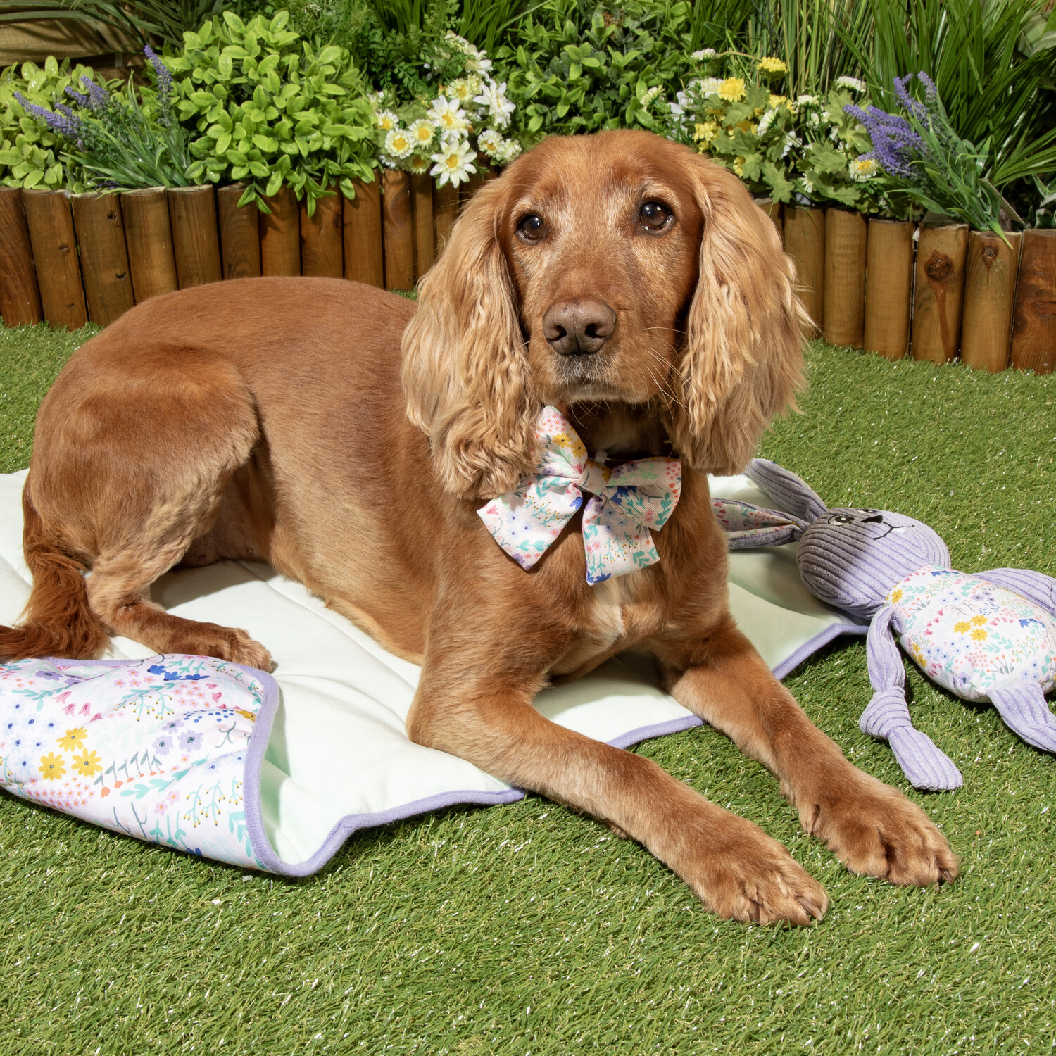 Wildflower Pet Travel Bed Purple Image 2