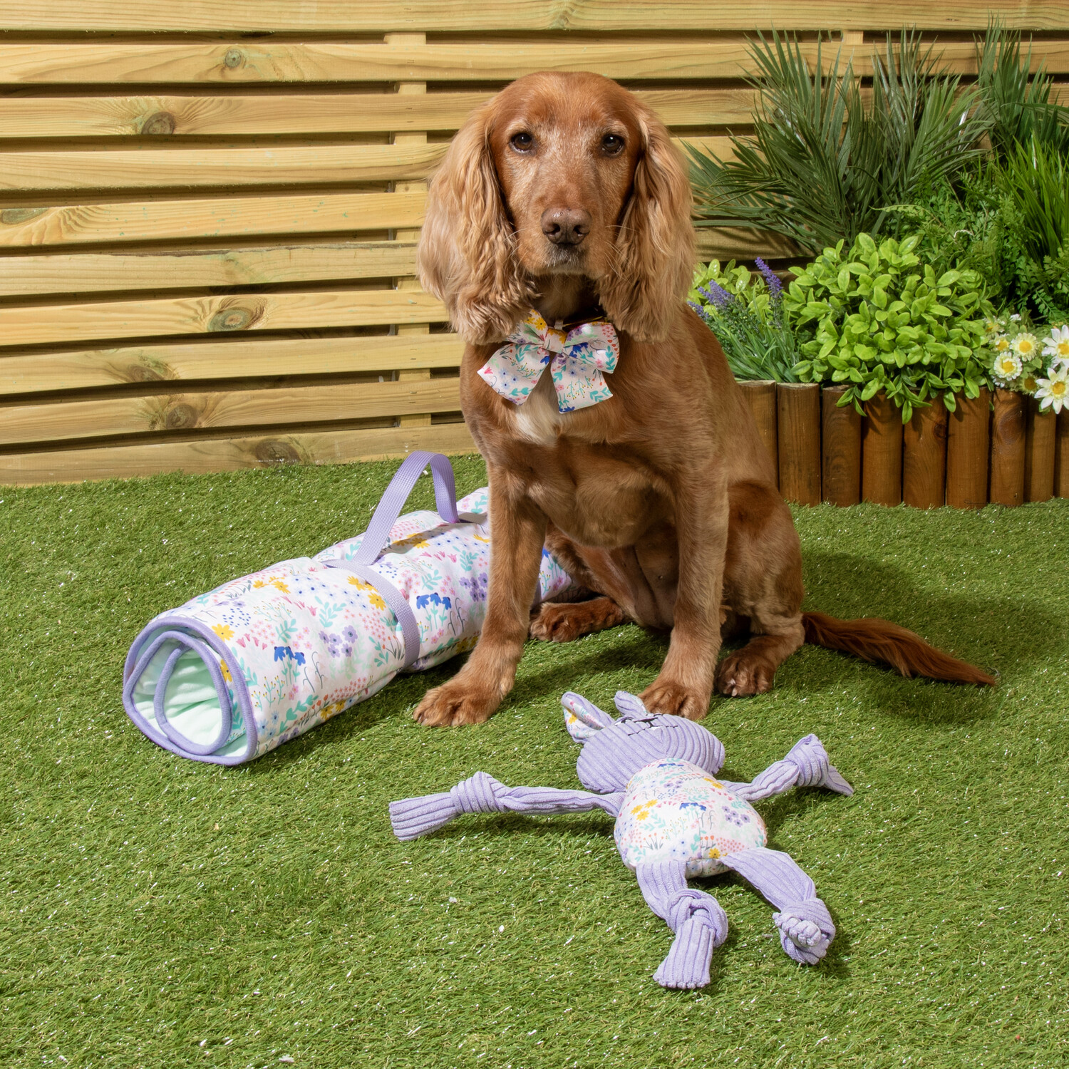 Wildflower Pet Travel Bed Purple Image 5