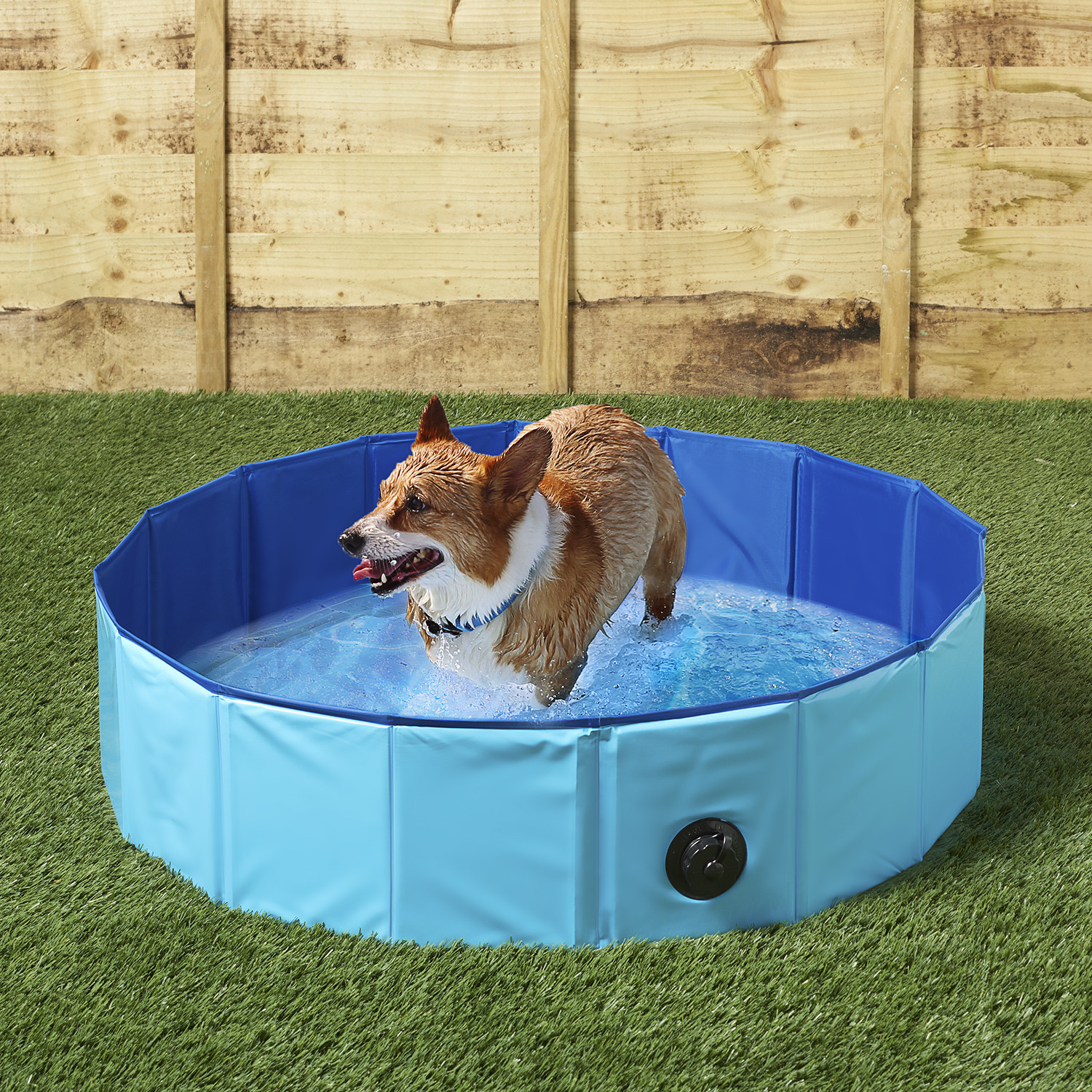 Clever Paws Doggy Paddling Pool 80cm Image 2