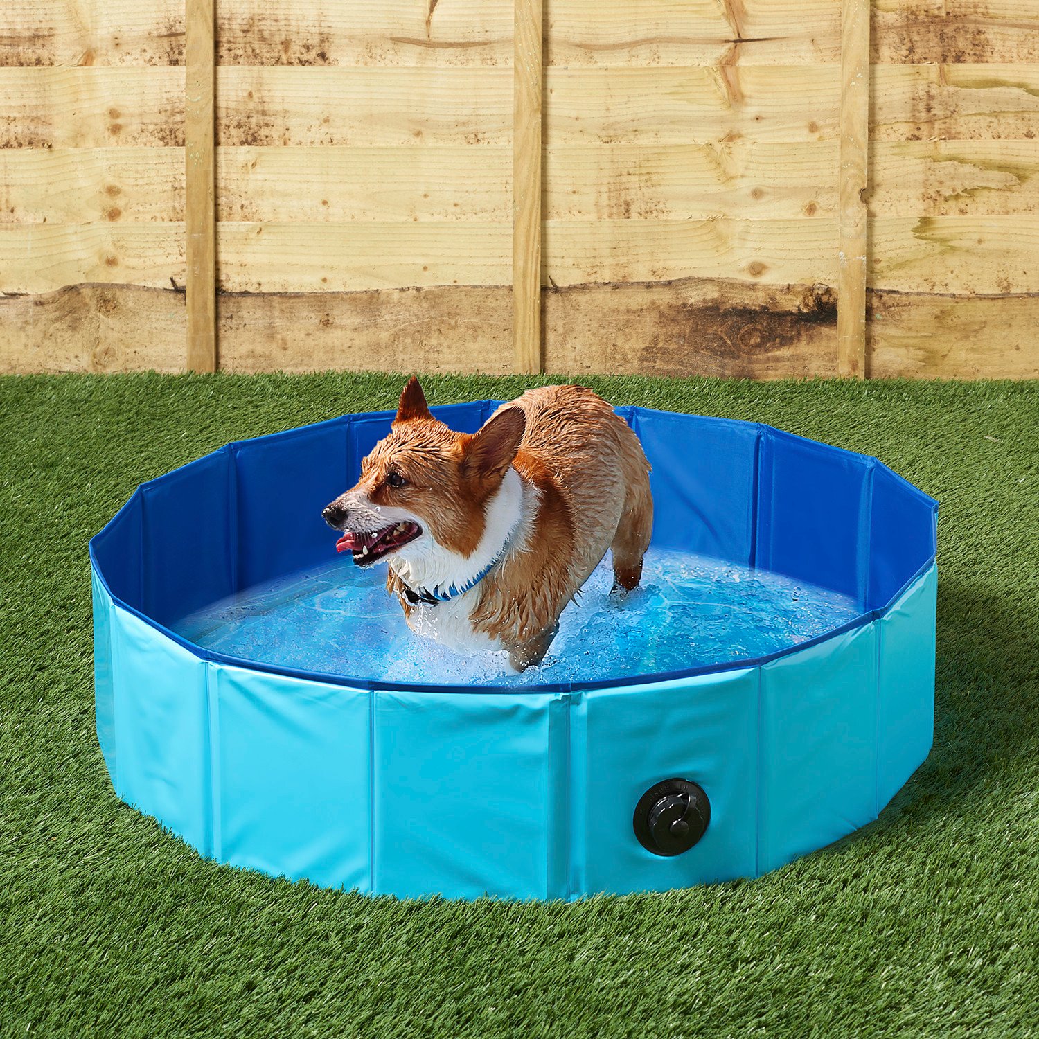 Clever Paws Doggy Paddling Pool 80cm Image 2