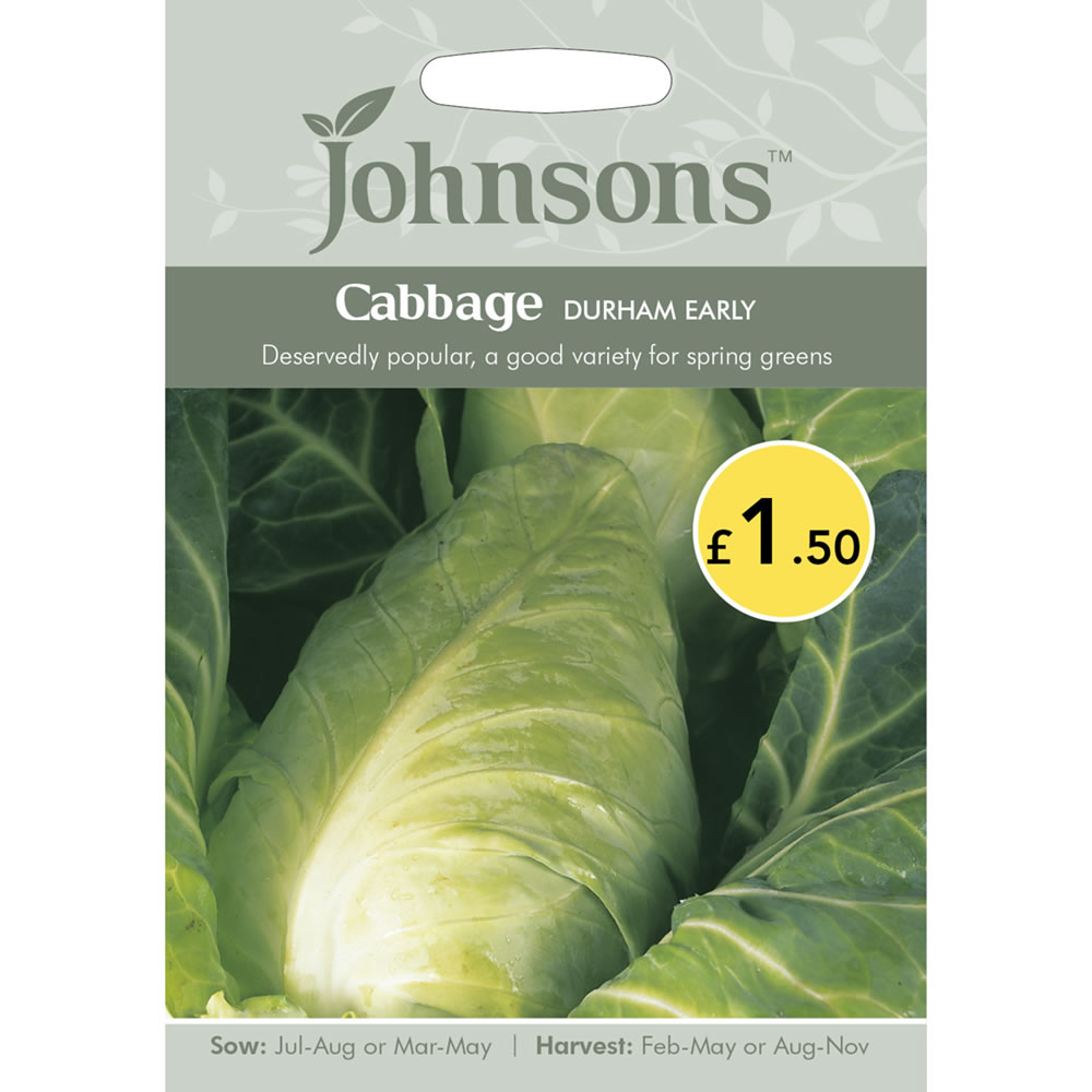 Johnsons Cabbage Durham Early Seeds Image 2