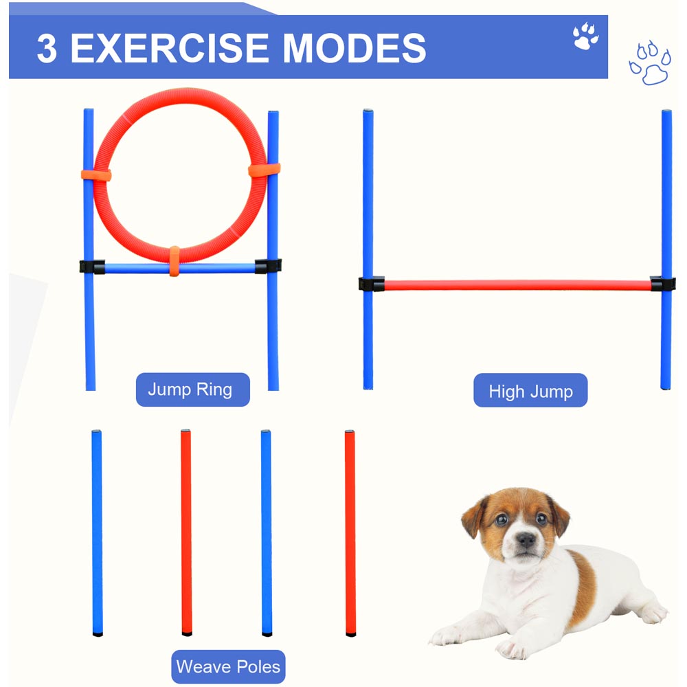 PawHut Red and Blue Pet Agility Training Equipment Image 5