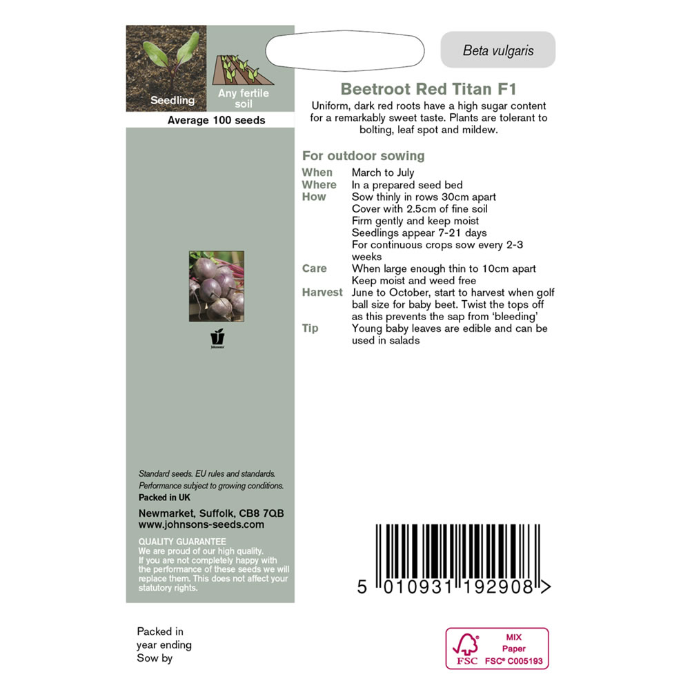 Johnsons Beetroot Red Titan F1 Seeds Image 3