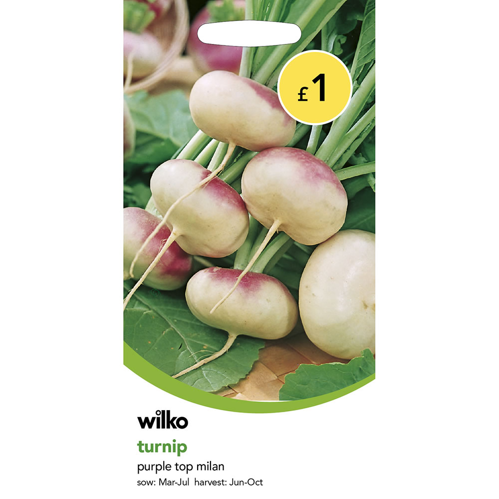 Wilko Turnip Purple Top Milan Seeds Image 2