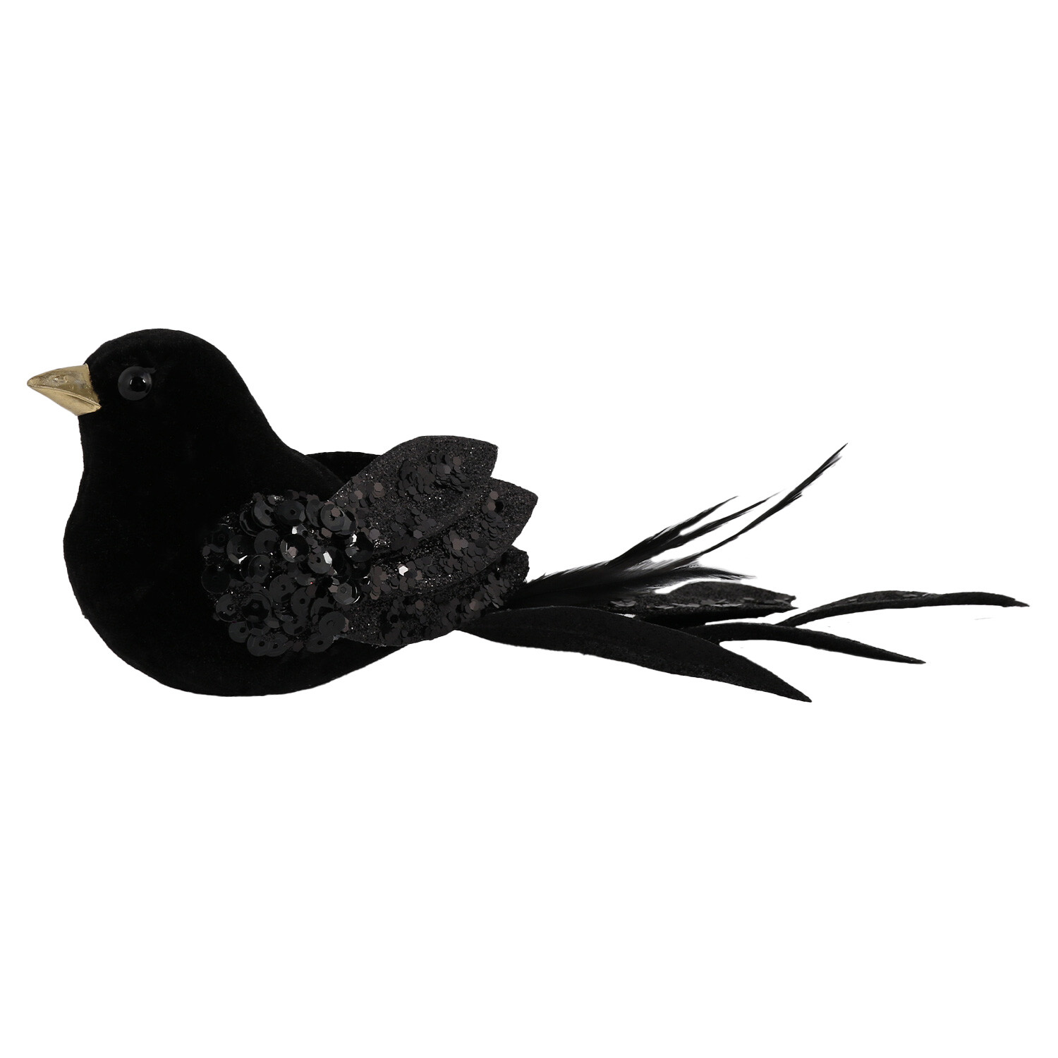 White & Silver / Black Bird Image