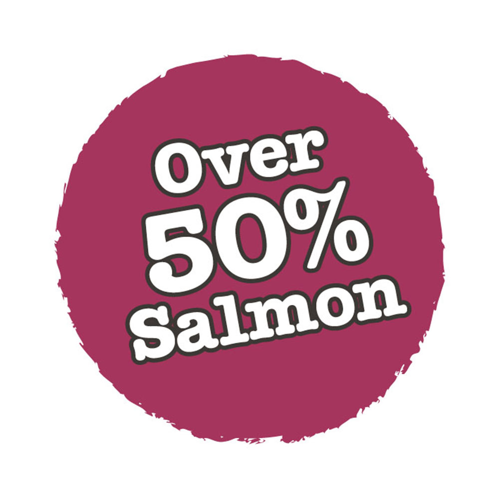 Little BigPaw Salmon Dry Cat Food 350g Image 3