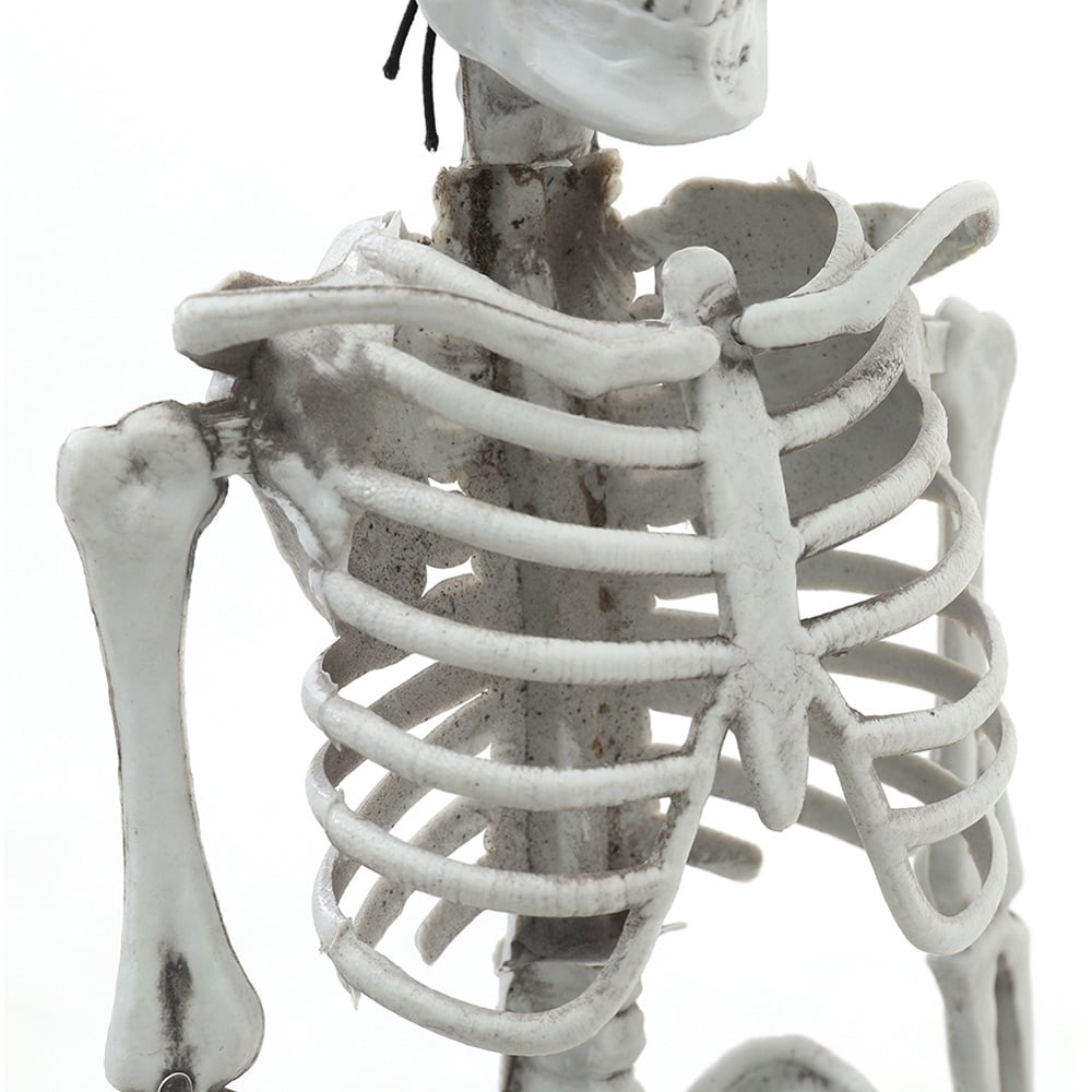 Living and Home Halloween Human Anatomy Skeleton 40cm Image 4