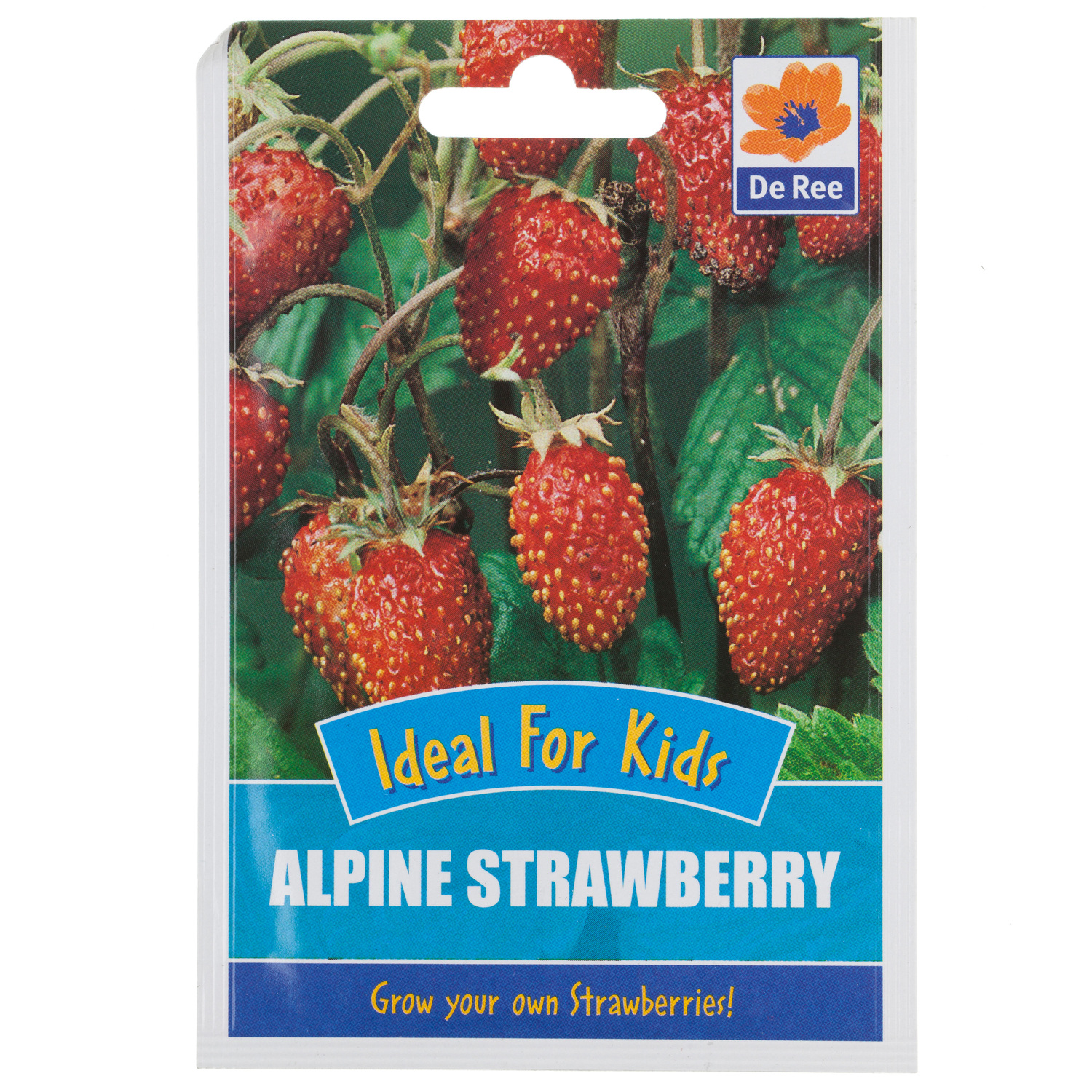 Alpine Strawberry Seed Packet Image