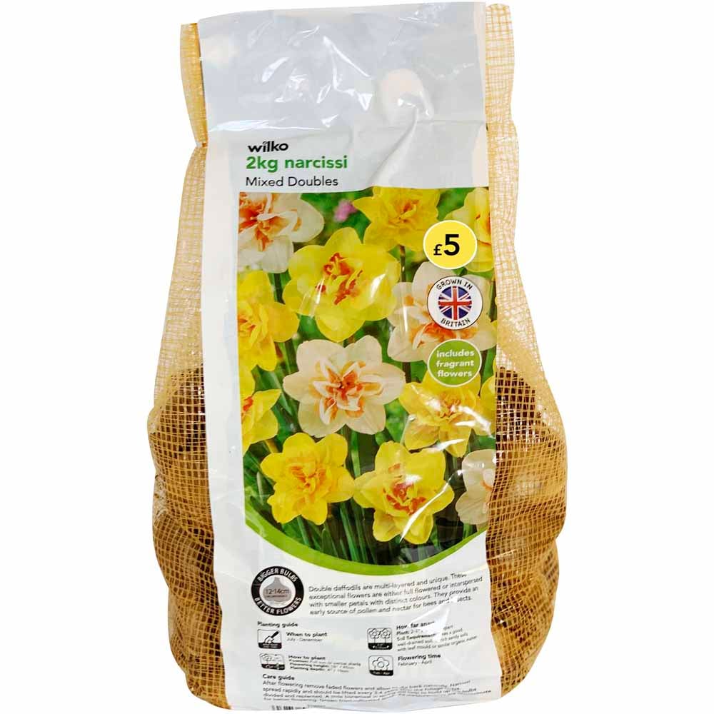 Wilko Double Daffodil Mix Bulbs 2kg Image 2