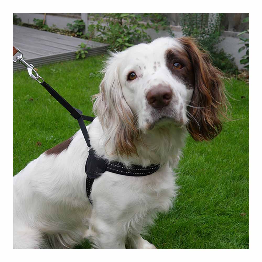 Rosewood Reflective Easy Fit Harness 12-16in Image 5